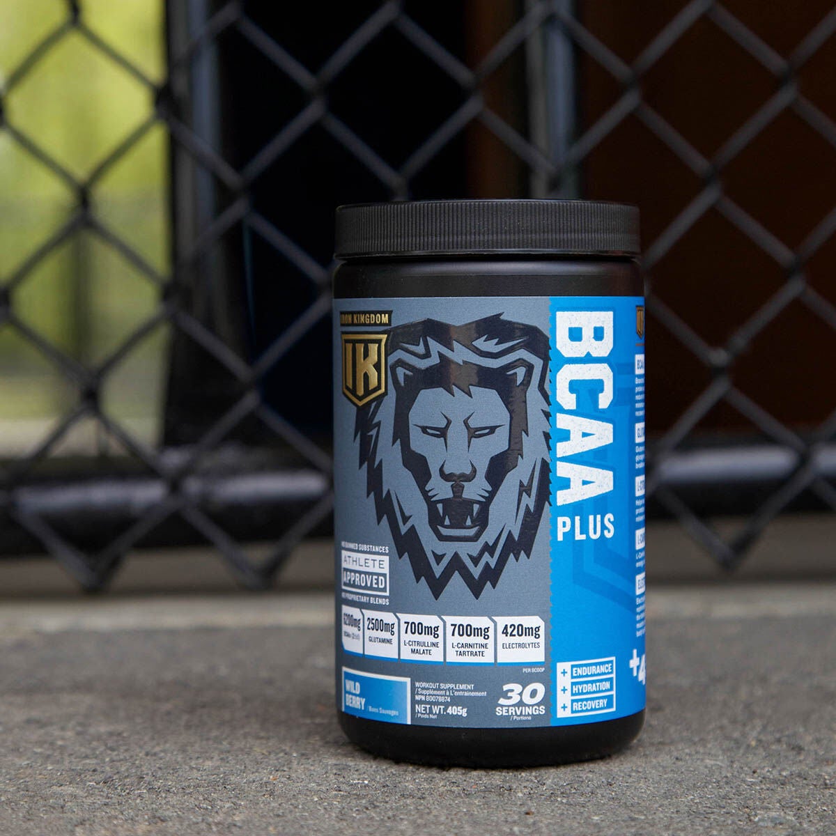 BCAA PLUS Baies sauvages | GNC